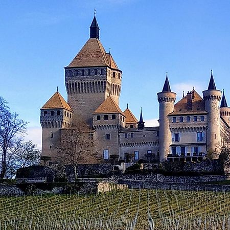 Guest House La Sereine Romanel-sur-Morges Экстерьер фото