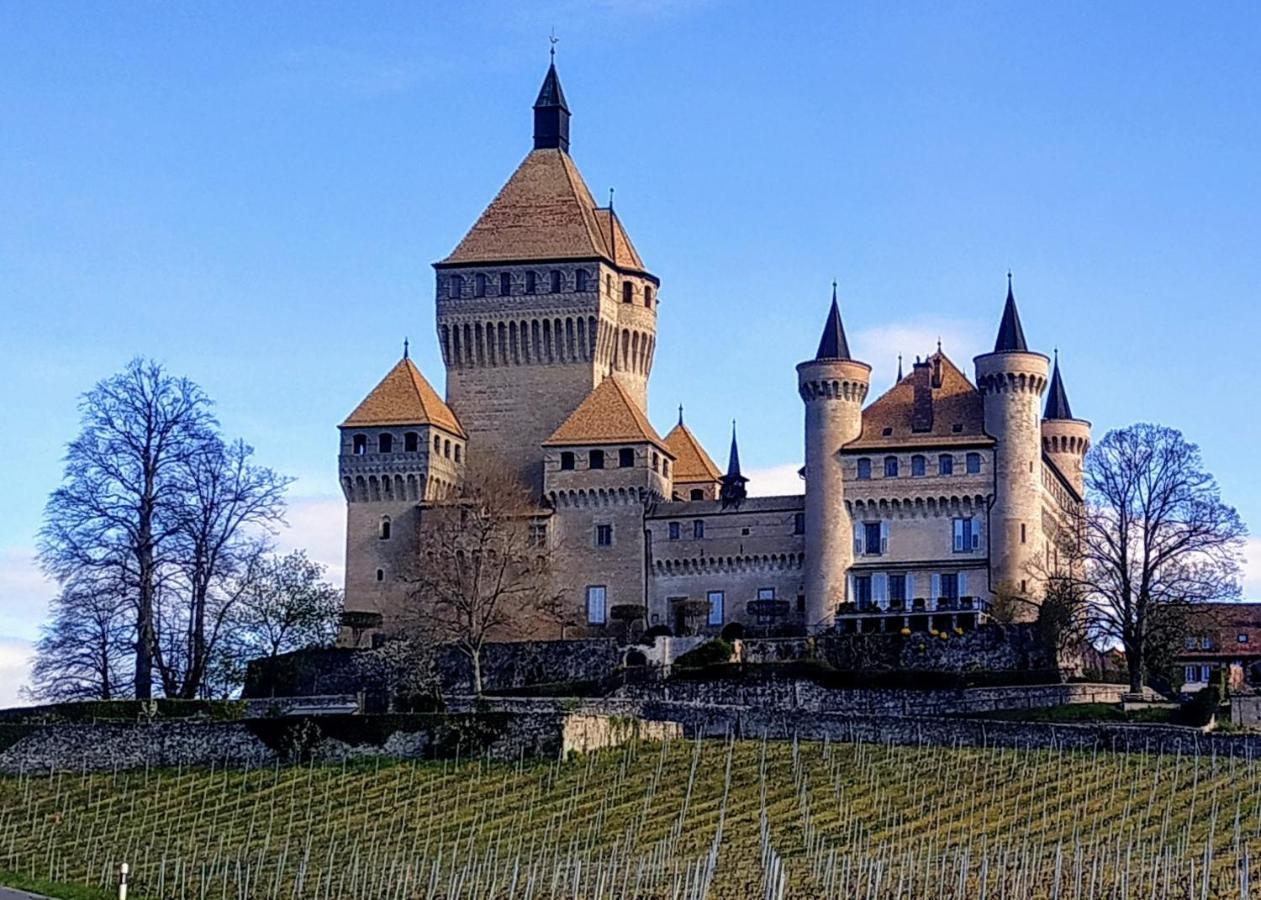 Guest House La Sereine Romanel-sur-Morges Экстерьер фото